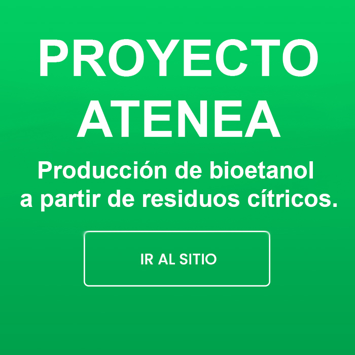 proyecto-atenea2