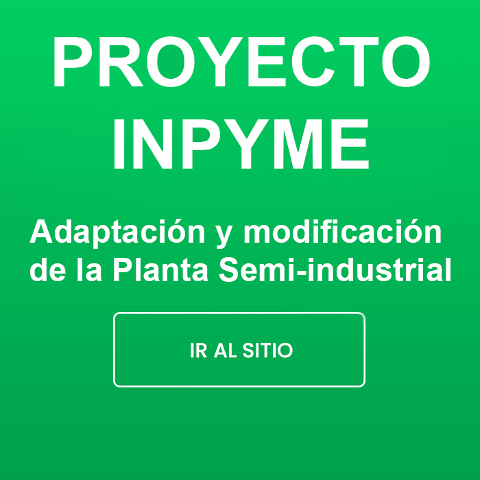 proyecto-inpyme2