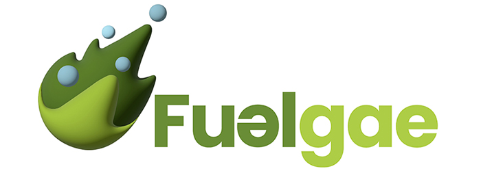 Proyectos-FUELGAE